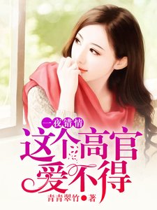 一夜錯情:這個高官愛不得