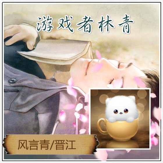 （综同人）[综]游戏者林青