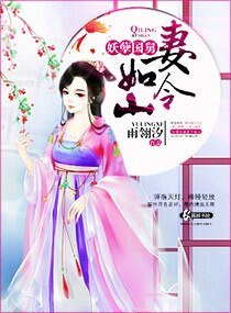 《妖孽国舅妻令如山》