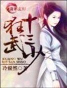 《狂武十三少》