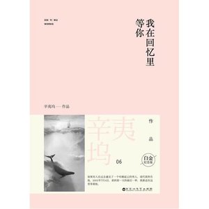 我在回忆里等你(精)