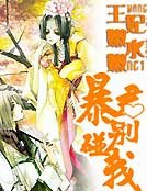 《穿越王妃之暴君别惹我》