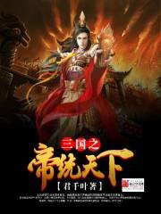 《三国之帝统天下》