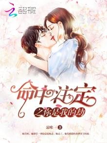 命中註定之你是我的劫