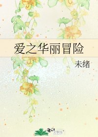 《爱之华丽冒险》
