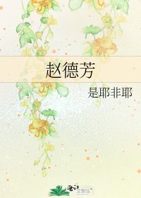 《赵德芳》