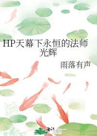 HP天幕下永恒的法师光辉