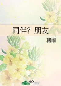 同伴?朋友
