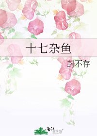 《十七杂鱼》