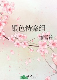 《银色特案组》