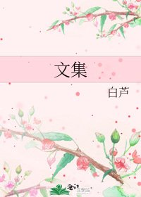 《文集》