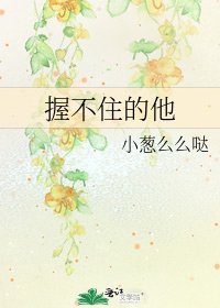 握不住的他