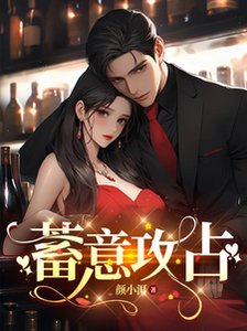 《蓄意攻占》