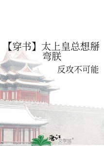 【穿书】太上皇总想掰弯朕