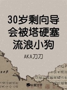 30岁剩向导会被塔硬塞流浪小狗
